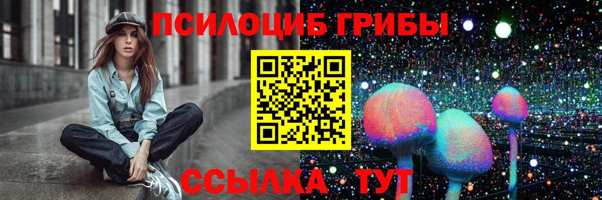 Псилоцибиновые грибы мицелий Нижнекамск