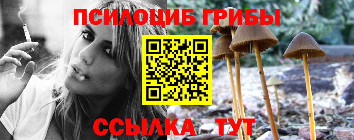 Галлюциногенные грибы мицелий  Вход с VPN  Галлюциногенные грибы MAGIC MUSHROOMS  Нижнекамск 